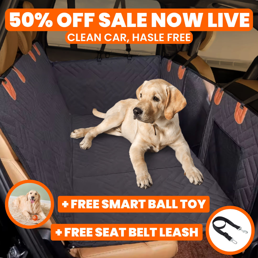 Wagr - Car Seat Cover